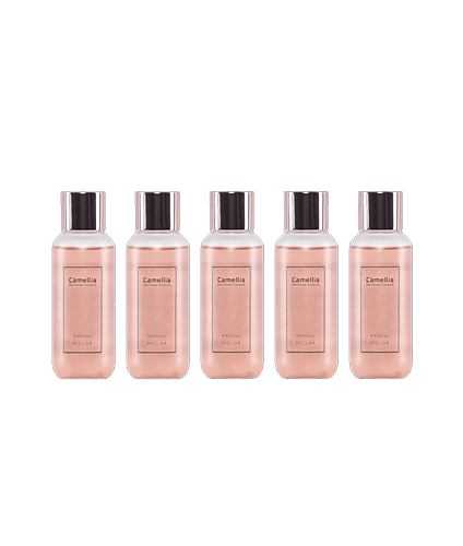 ZVÝHODNĚNÝ BALÍČEK: 5× CAMELIA ESENCE 100 ML PRO VÁŠ ION MIST 